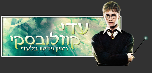 וידיאו פורטליסטי