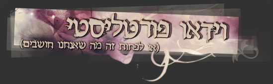 וידיאו פורטליסטי